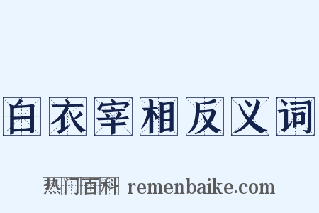 白衣宰相反义词是什么意思的图片